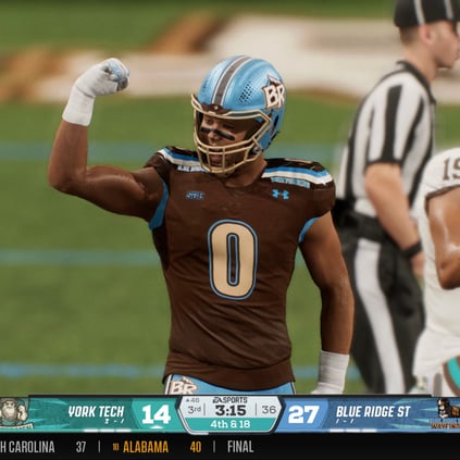 Blue Ridge-0-Flex